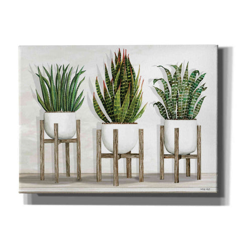 Image of 'White Pots on Stands I' by Cindy Jacobs, Canvas Wall Art