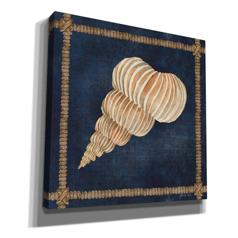 Image of 'Seashell on Navy III' by Cindy Jacobs, Canvas Wall Art