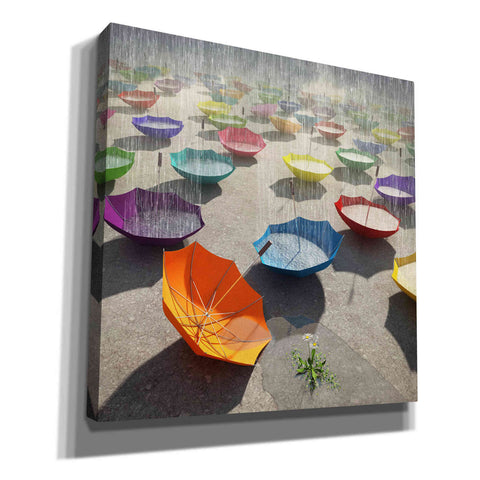 Image of 'Downpour' by Cynthia Decker, Canvas Wall Art