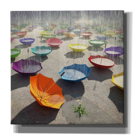 Image of 'Downpour' by Cynthia Decker, Canvas Wall Art