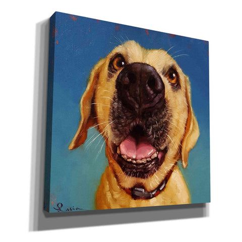 Image of 'Follow Your Nose 2' by Lucia Heffernan, Canvas Wall Art