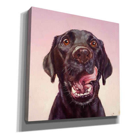 Image of 'Follow Your Nose 7' by Lucia Heffernan, Canvas Wall Art