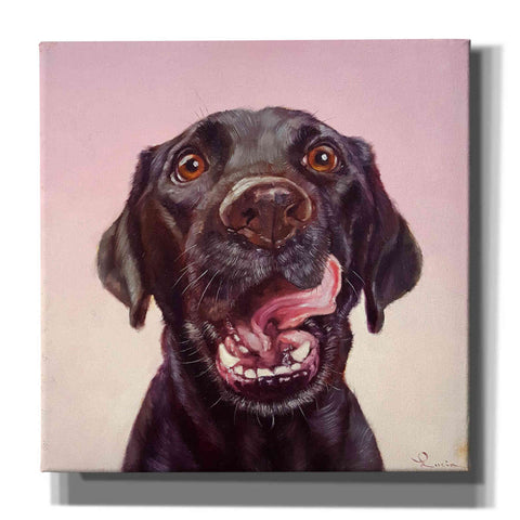 Image of 'Follow Your Nose 7' by Lucia Heffernan, Canvas Wall Art