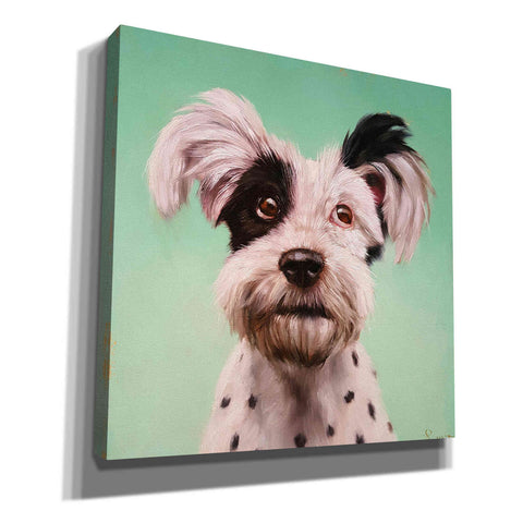 Image of 'Follow Your Nose 8' by Lucia Heffernan, Canvas Wall Art