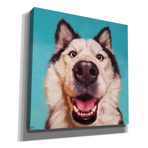 Image of 'Follow Your Nose 10' by Lucia Heffernan, Canvas Wall Art