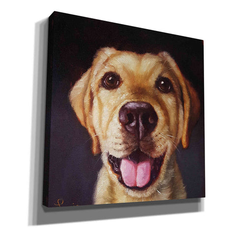 Image of 'Follow Your Nose 13' by Lucia Heffernan, Canvas Wall Art