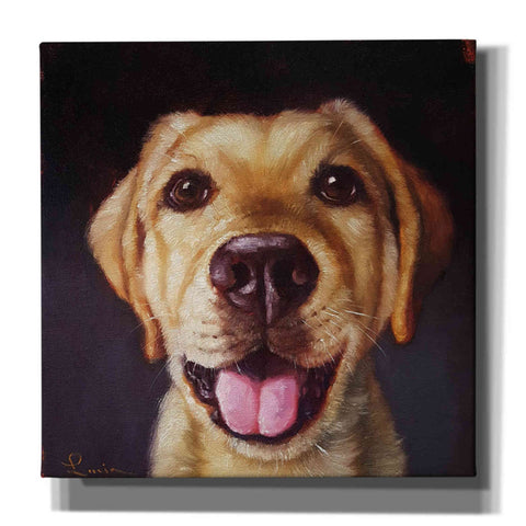 Image of 'Follow Your Nose 13' by Lucia Heffernan, Canvas Wall Art