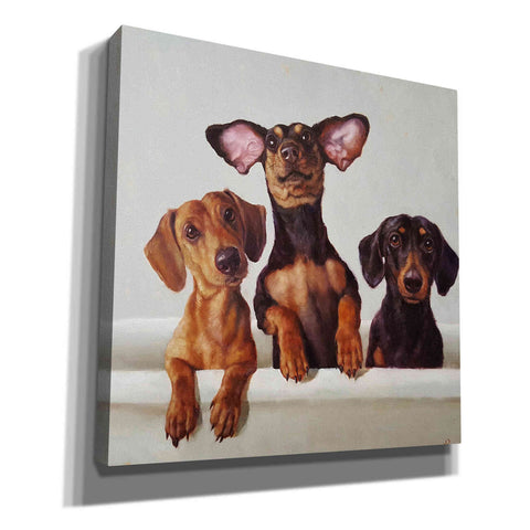 Image of '3 Amigos' by Lucia Heffernan, Canvas Wall Art