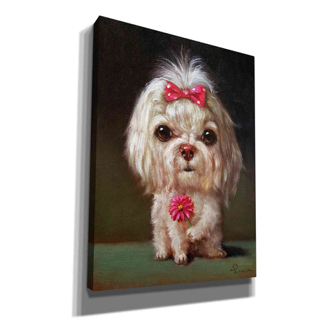 Image of 'Sophie' by Lucia Heffernan, Canvas Wall Art