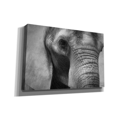 Image of 'Elephant' by Lori Deiter, Canvas Wall Art
