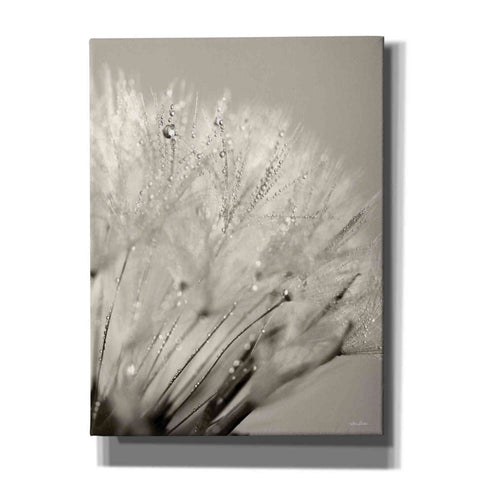 Image of 'Dandelion Jewels I' by Lori Deiter, Canvas Wall Art