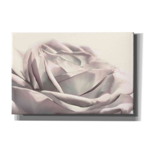 Image of 'Blush Rose II' by Lori Deiter, Canvas Wall Art