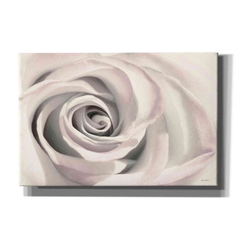 Image of 'Blush Rose III' by Lori Deiter, Canvas Wall Art