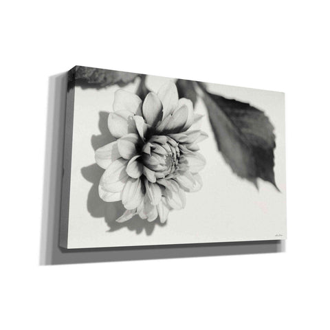 Image of 'White Dahlia I' by Lori Deiter, Canvas Wall Art