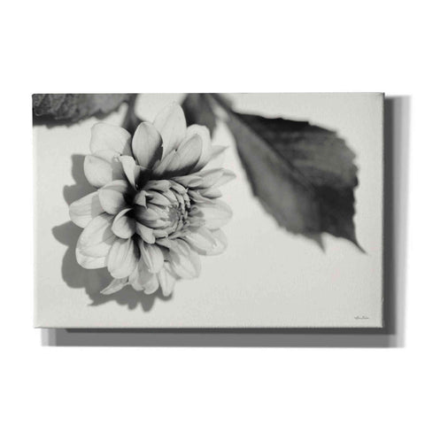 Image of 'White Dahlia I' by Lori Deiter, Canvas Wall Art