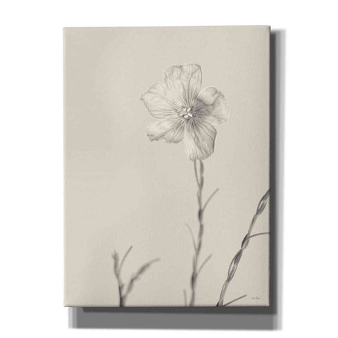 Image of 'Faded Flower III' by Lori Deiter, Canvas Wall Art