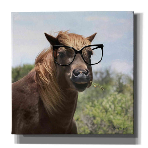 Image of 'Let Your Horse Do the Thinking' by Lori Deiter, Canvas Wall Art