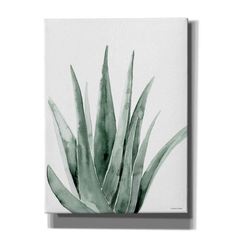 Image of 'Summer Botanicals 2' by Rachel Nieman, Canvas Wall Art