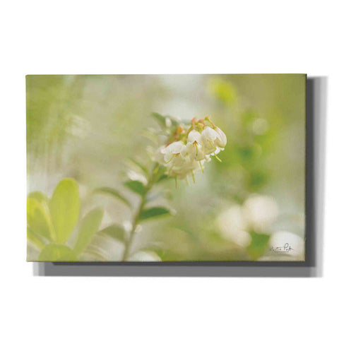 Image of 'Lingonberry' by Martin Podt, Canvas Wall Art