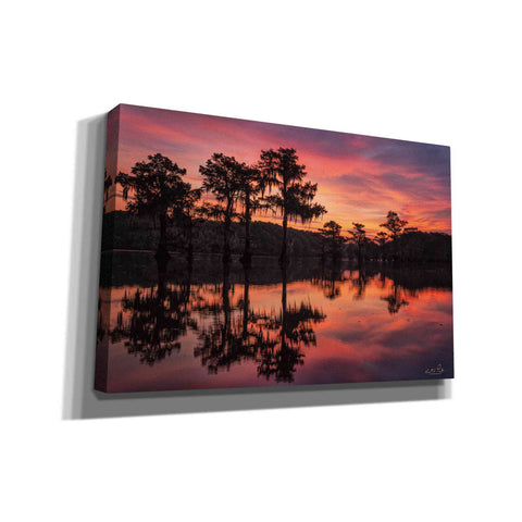 Image of 'Swamp on Fire' by Martin Podt, Canvas Wall Art