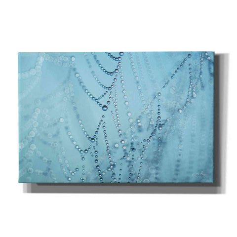 Image of 'Nature's Jewels I' by Martin Podt, Canvas Wall Art