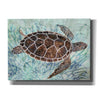 'Sea Turtle Collage 1' by Stellar Design Studio, Canvas Wall Art