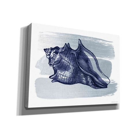 Image of 'Brushed Midnight Blue Seashell' by Bluebird Barn, Canvas Wall Art