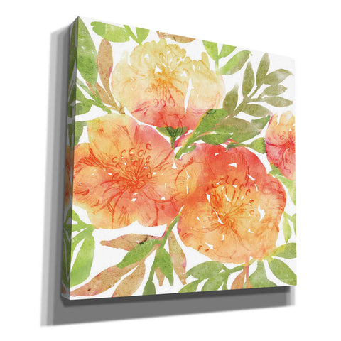 Image of 'Peachy Floral III' by Bluebird Barn, Canvas Wall Art
