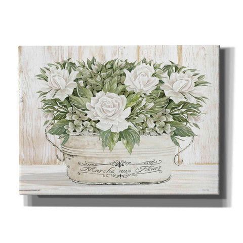 Image of 'Roses in White' by Cindy Jacobs, Canvas Wall Art