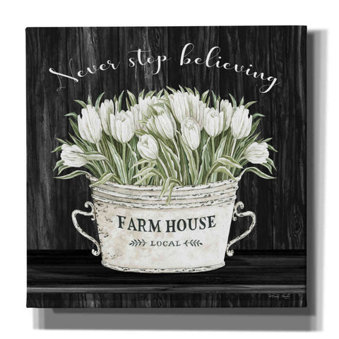 Image of 'Never Stop Believing' by Cindy Jacobs, Canvas Wall Art