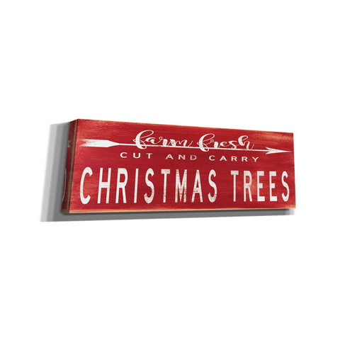 Image of 'Christmas Trees Sign' by Cindy Jacobs, Canvas Wall Art