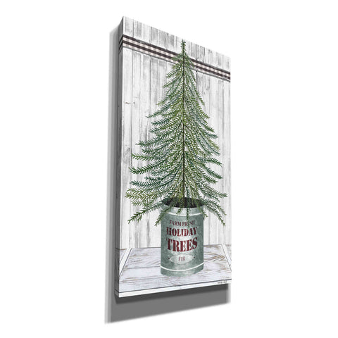 Image of 'Galvanized Pot Fir' by Cindy Jacobs, Canvas Wall Art