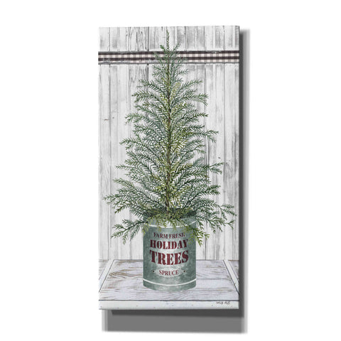 Image of 'Galvanized Pot Spruce' by Cindy Jacobs, Canvas Wall Art