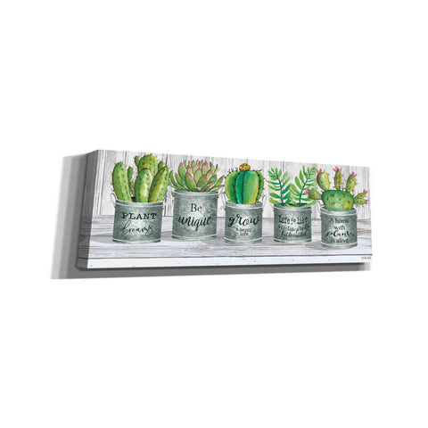 Image of 'Galvanized Pot Succulents I' by Cindy Jacobs, Canvas Wall Art