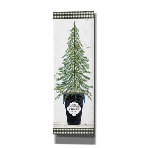 Image of 'Fir Tree' by Cindy Jacobs, Canvas Wall Art