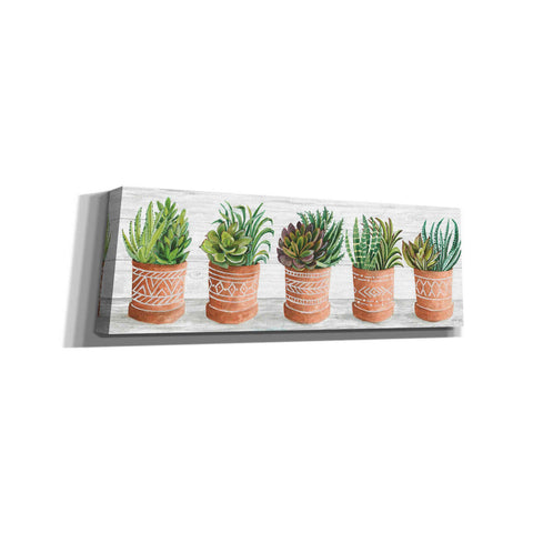 Image of 'Terracotta Pots II' by Cindy Jacobs, Canvas Wall Art