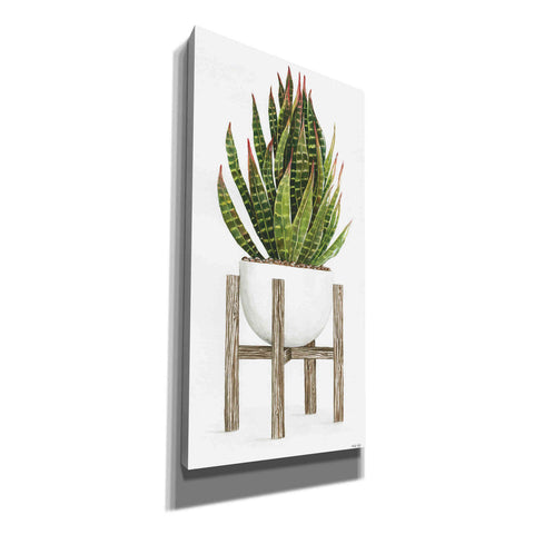 Image of 'White Pots on Stands IV' by Cindy Jacobs, Canvas Wall Art