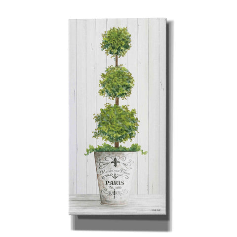 Image of 'Topiary Paris' by Cindy Jacobs, Canvas Wall Art