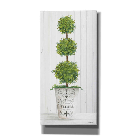 Image of 'Magnificent Topiary I' by Cindy Jacobs, Canvas Wall Art