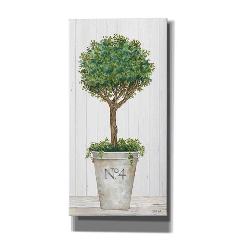 Image of 'Magnificent Topiary II' by Cindy Jacobs, Canvas Wall Art