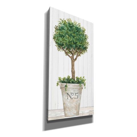 Image of 'Magnificent Topiary III' by Cindy Jacobs, Canvas Wall Art