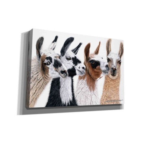 Image of 'Peruvian Visitors' by Jan Henderson, Canvas Wall Art