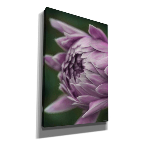 Image of 'Open Your Heart' by Lori Deiter, Canvas Wall Art