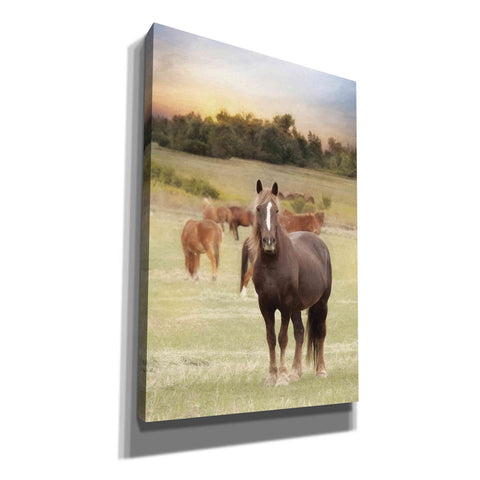 Image of 'Jackson Horse Farm' by Lori Deiter, Canvas Wall Art