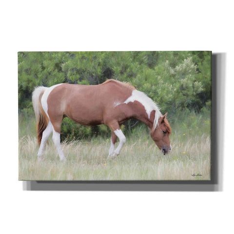 Image of 'Assateague Horse' by Lori Deiter, Canvas Wall Art