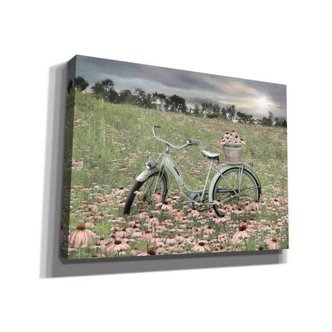 Image of 'Sagebrush Bicycle' by Lori Deiter, Canvas Wall Art