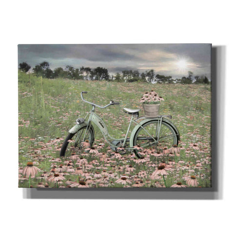 Image of 'Sagebrush Bicycle' by Lori Deiter, Canvas Wall Art