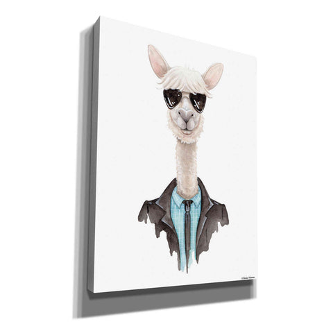 Image of 'Alpaca in Aviators' by Rachel Nieman, Canvas Wall Art