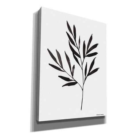 Image of 'Reductive Leaf Stem Black' by Rachel Nieman, Canvas Wall Art