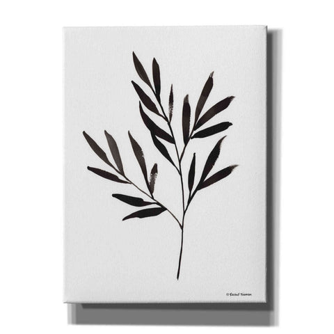 Image of 'Reductive Leaf Stem Black' by Rachel Nieman, Canvas Wall Art